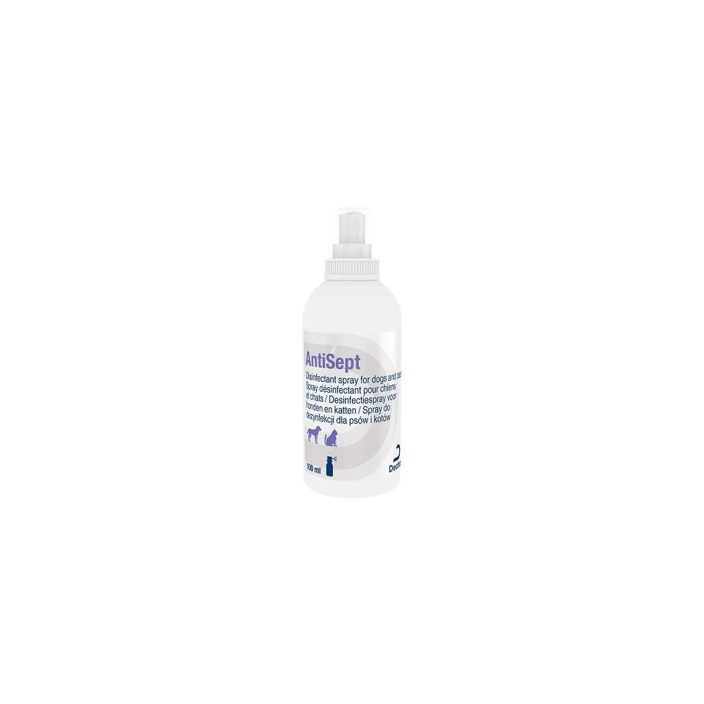AntiSept Desinfectiespray - 100 Ml