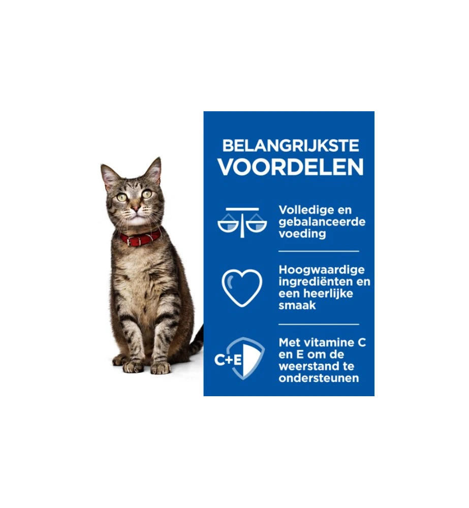 Hill's Science Plan Healthy Cuisine Volwassen Kat Stoofpotje Kip & Zalm - 4 X 12 X 80 Gram - Afbeelding 2