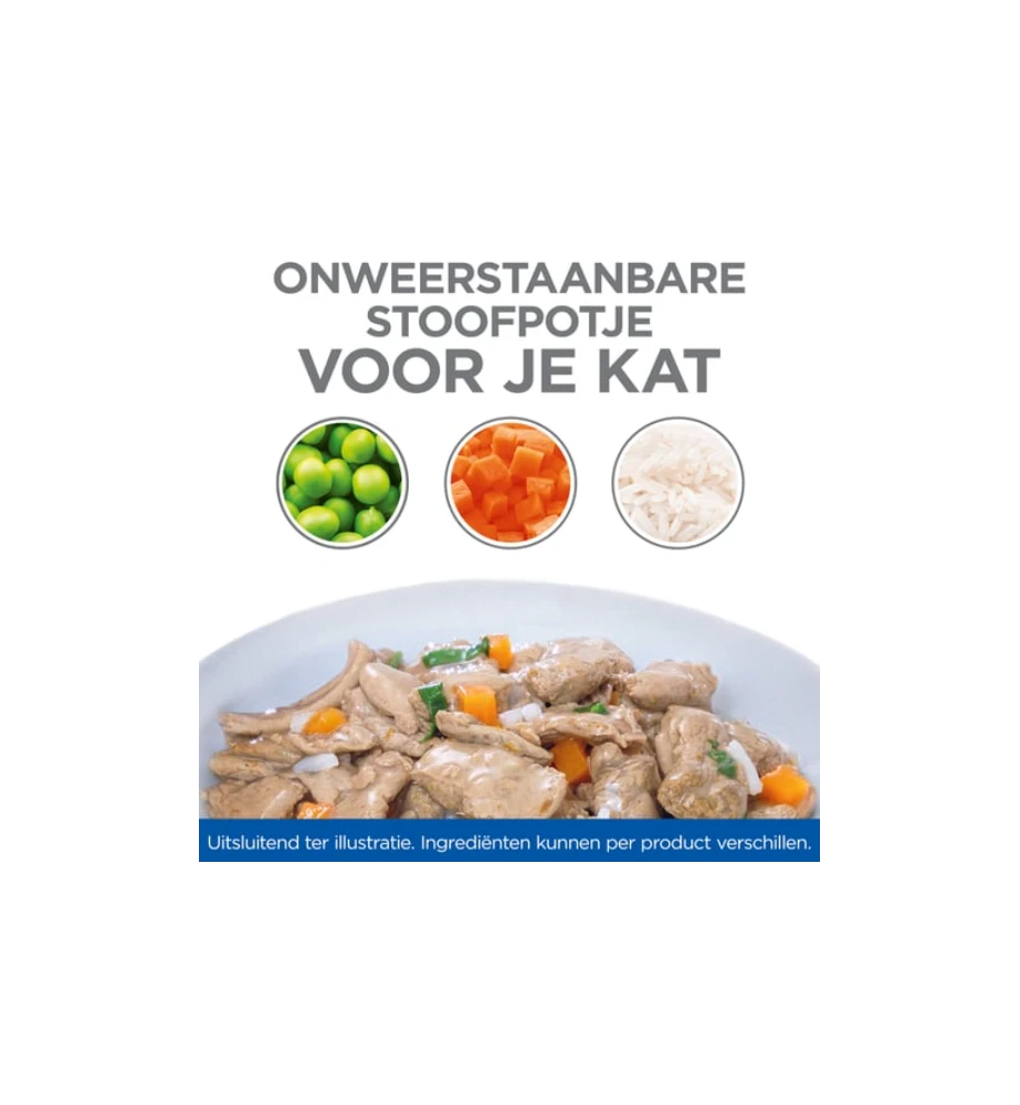 Hill's Science Plan Healthy Cuisine Volwassen Kat Stoofpotje Kip & Zalm - 4 X 12 X 80 Gram - Afbeelding 3
