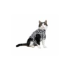 Medical Pet Shirt (Kat / Zebraprint)