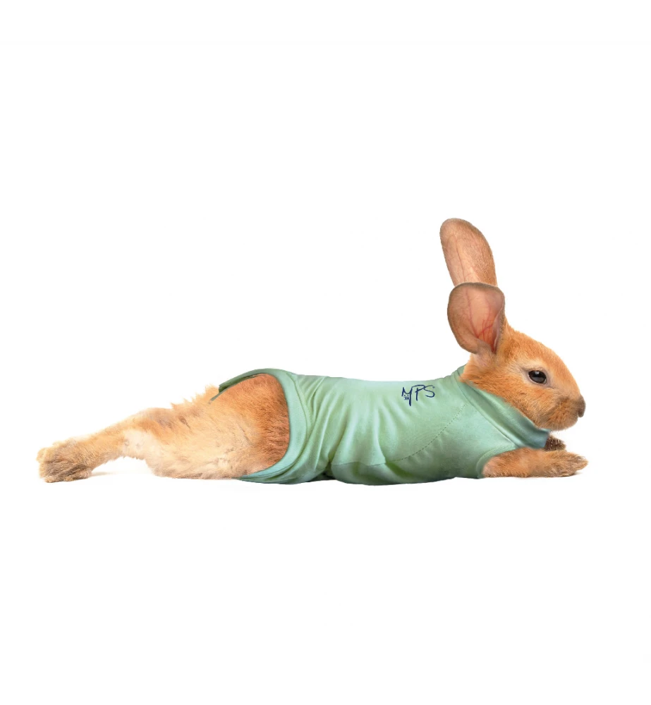 Medical Pet Shirt (Konijn) - Afbeelding 2