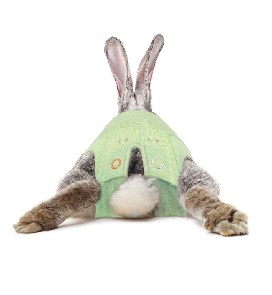 Medical Pet Shirt (Konijn) - Afbeelding 3