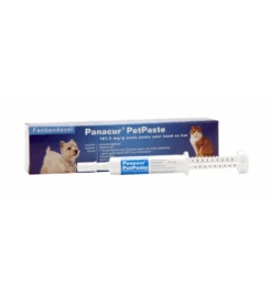 Panacur PetPaste Injector - 5 Gram