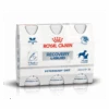 Royal Canin Recovery Liquid - 3 X 200 Ml