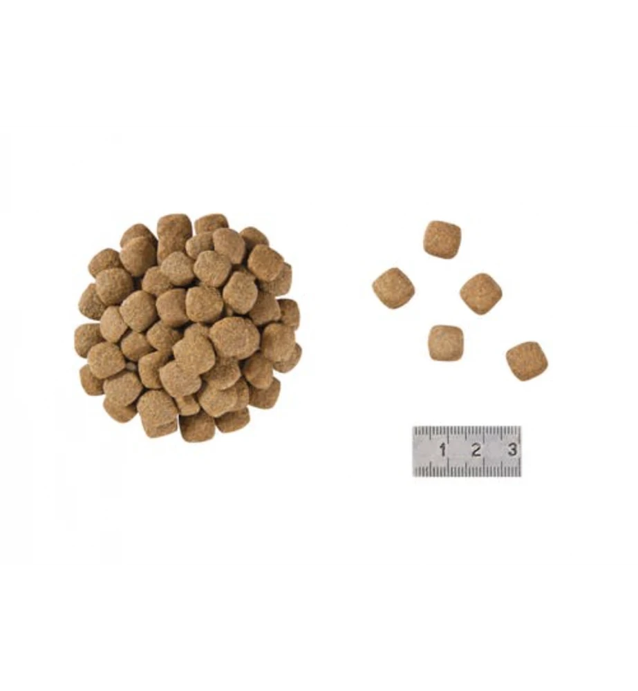 Royal Canin Mature Consult Balance - Afbeelding 2